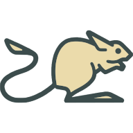 jerboa_logo